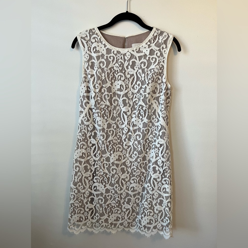 Loft Lace and Cream Dress. Size 6.